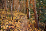 photo thumbnail #4