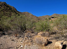 photo thumbnail #7