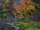 photo thumbnail #15