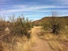 photo thumbnail #3