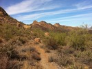 photo thumbnail #8