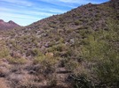photo thumbnail #9
