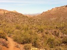 photo thumbnail #10
