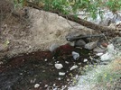 photo thumbnail #14