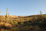 photo thumbnail #3