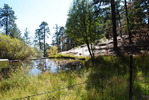 photo thumbnail #14
