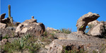 photo thumbnail #6