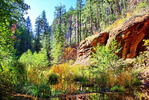 photo thumbnail #12