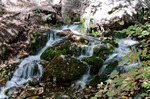 photo thumbnail #9