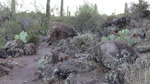 photo thumbnail #5