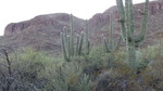 photo thumbnail #4
