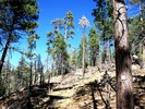 photo thumbnail #14