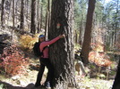 photo thumbnail #10