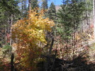 photo thumbnail #11
