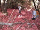 photo thumbnail #1