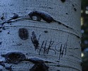 photo thumbnail #5