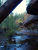 photo thumbnail #6