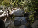 photo thumbnail #8