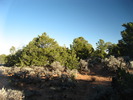 photo thumbnail #13