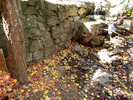 photo thumbnail #8
