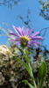 photo thumbnail #15