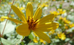 photo thumbnail #7