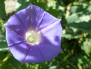 photo thumbnail #10