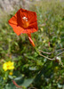 photo thumbnail #14