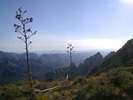 photo thumbnail #12