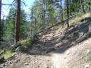 photo thumbnail #7