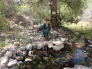 photo thumbnail #1