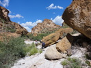 photo thumbnail #11