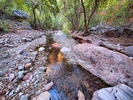 photo thumbnail #7