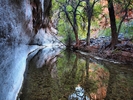 photo thumbnail #11