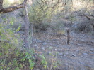 photo thumbnail #11
