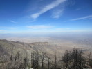 photo thumbnail #8