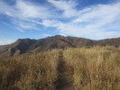 photo thumbnail #7