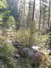 photo thumbnail #13
