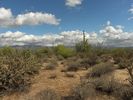 photo thumbnail #9