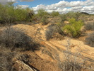 photo thumbnail #15