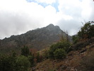 photo thumbnail #10