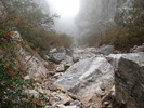 photo thumbnail #15