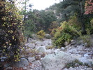 photo thumbnail #15