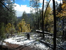 photo thumbnail #10