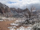 photo thumbnail #5