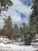 photo thumbnail #2