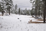 photo thumbnail #6
