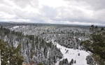 photo thumbnail #15