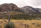 photo thumbnail #2