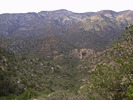 photo thumbnail #9